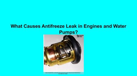 antifreeze leak|Antifreeze Leak Causes 